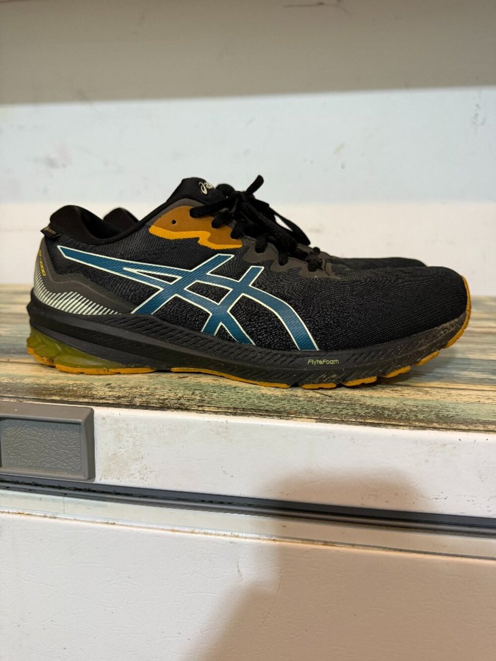 ASICS GORE-TEX Trail Running Shoes – Men’s US 12.5 – Lightly Used